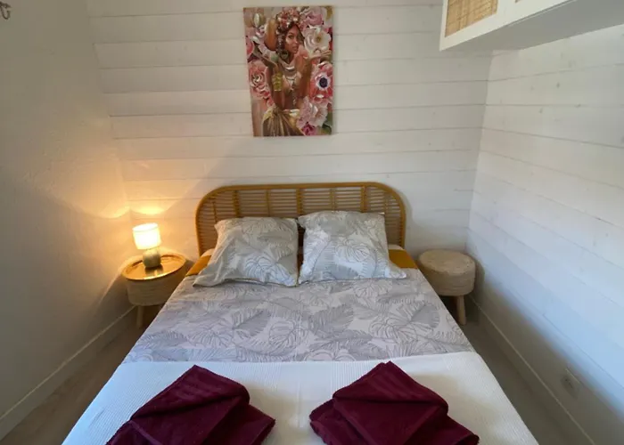 Appartement Duplex Climatise Le Trident